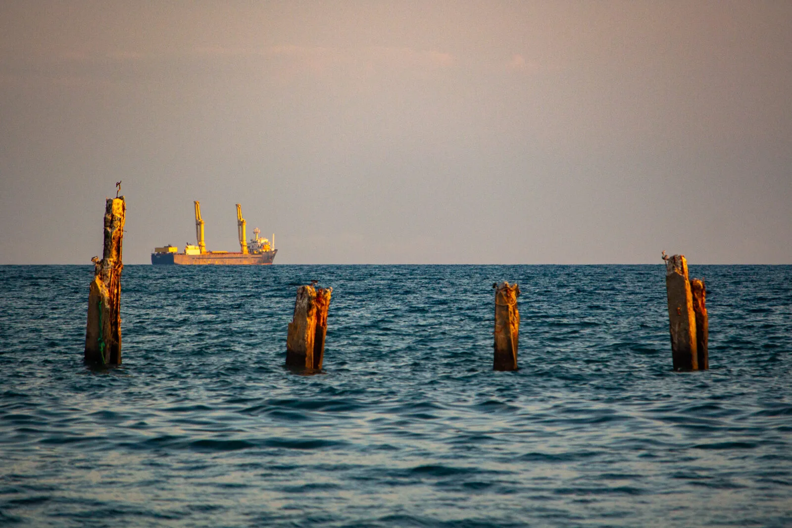 convergence-concrete-stumps-at-sea-albania
