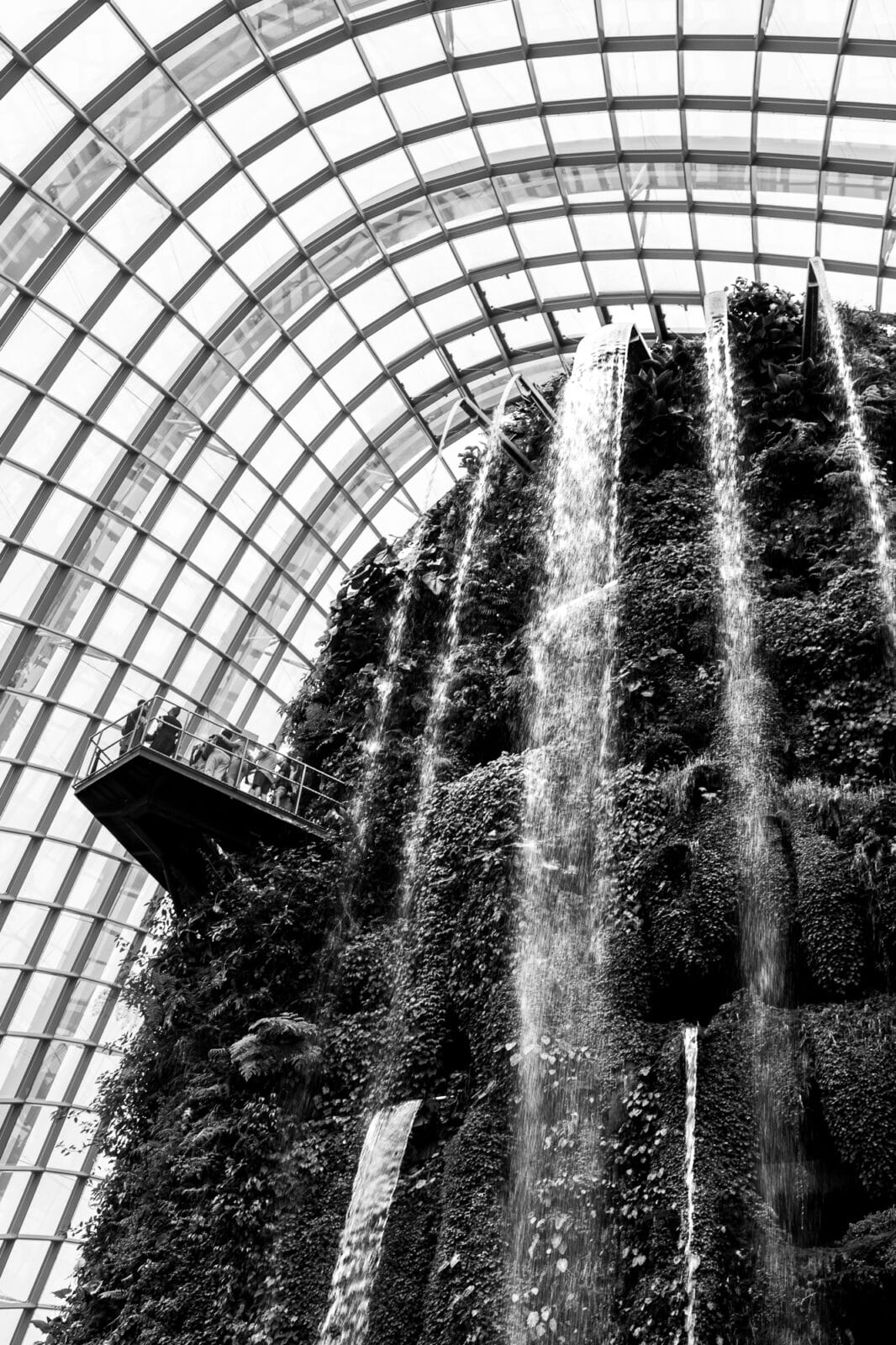 convergence-waterfalls-within-greenhouse-singapore