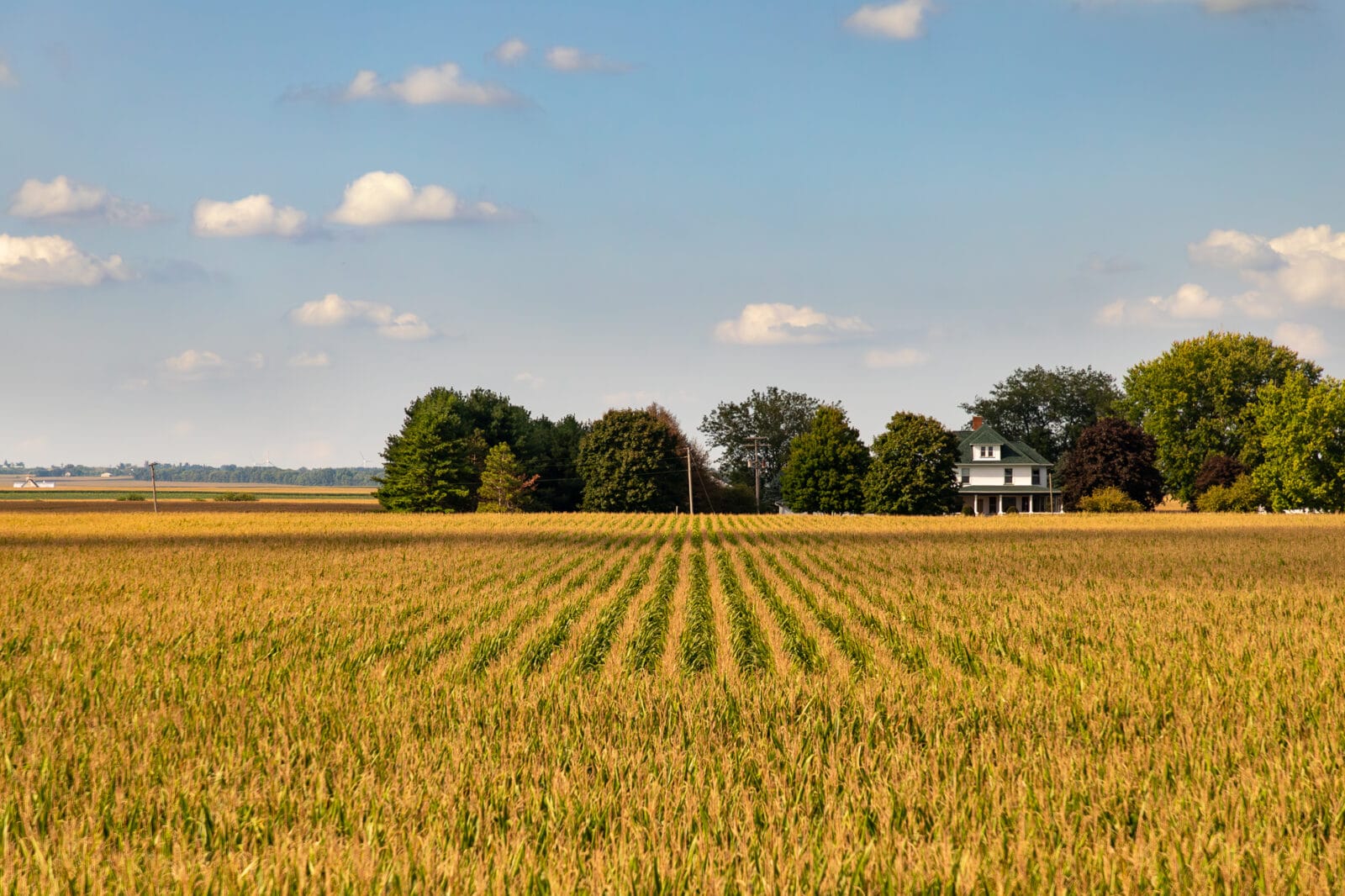 environment-scenes-from-amtrak-01