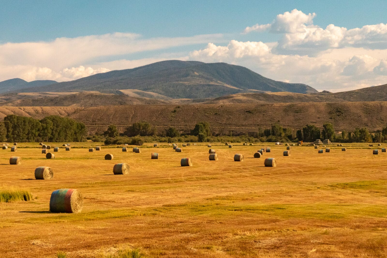 environment-scenes-from-amtrak-02