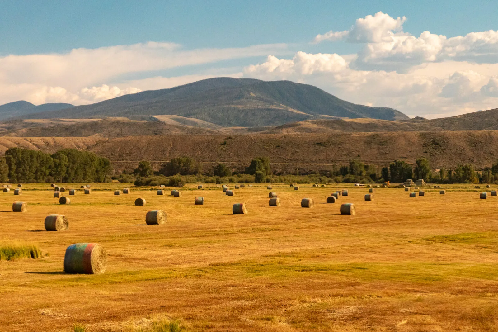 environment-scenes-from-amtrak-02