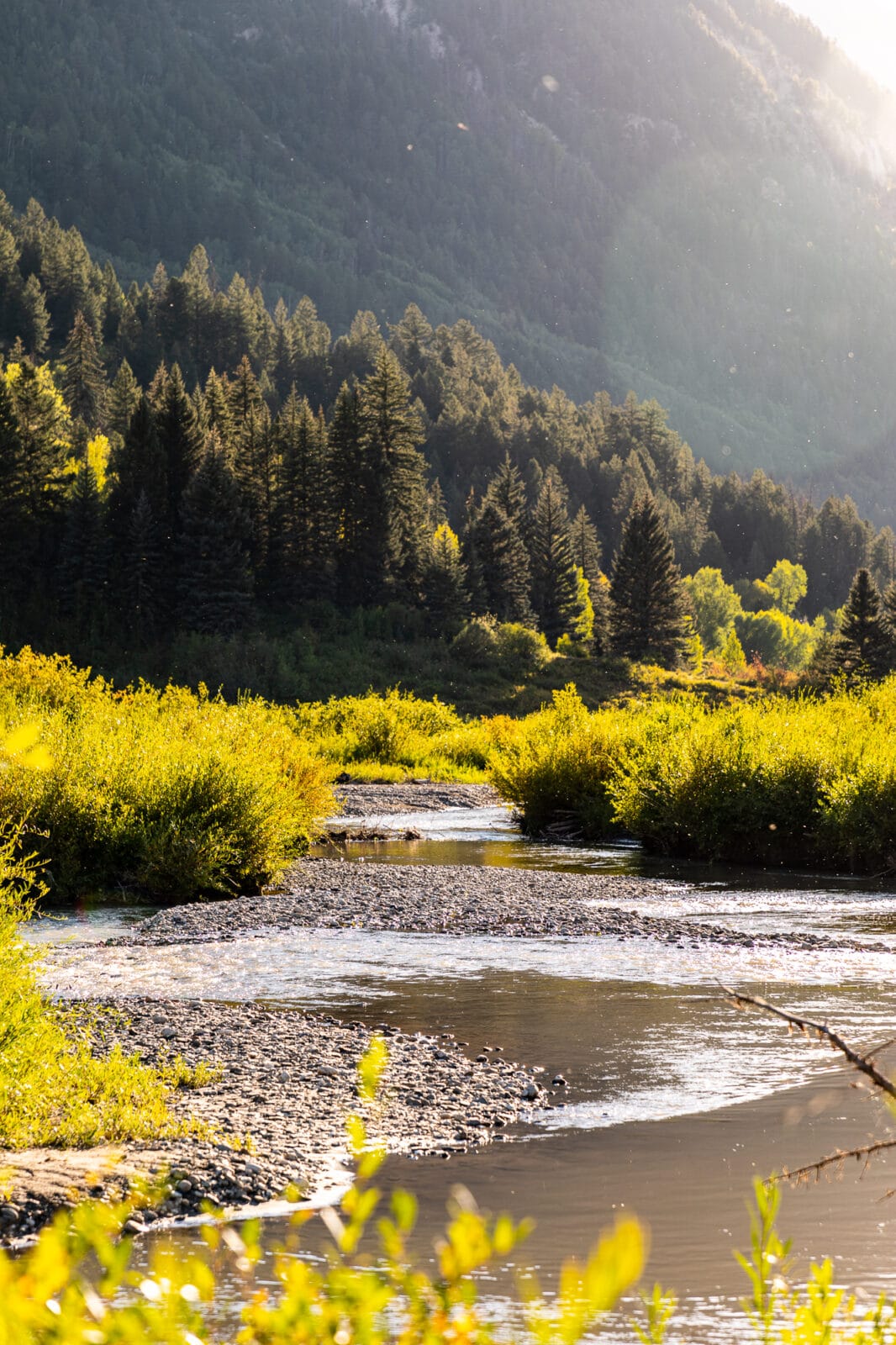 environment-stream-into-beaver-lake-colorado