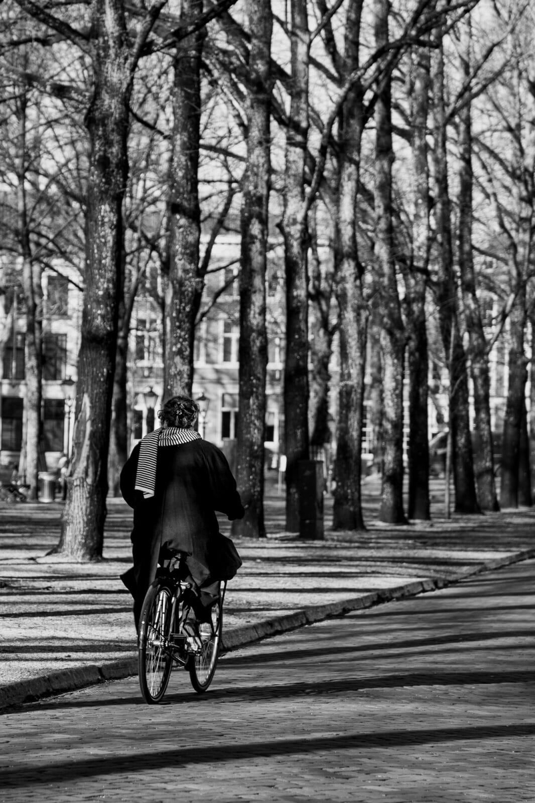 presence-cycling-through-shadows-hague